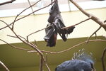 DSC_9125.JPG